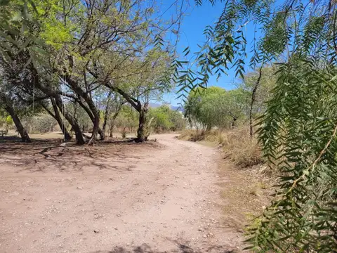 Terreno en Venta 36  mts Fondo