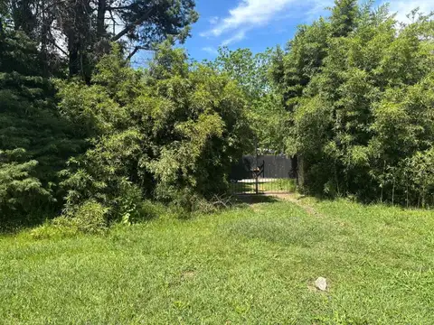 Sebastián Elcano 2600