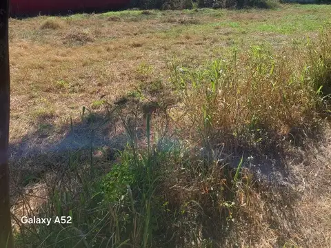 TERRENOS EN VENTA S.J DEL RINCÓN C. DEL BALNEARIO