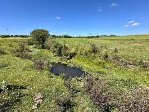 VENTA CHACRA 10 HECTAREAS, A MTS. DE RUTA 90