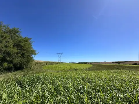 VENTA CHACRA 10 HECTAREAS, A MTS. DE RUTA 90