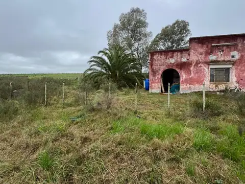 Alquiler campo de 2 hectáreas Ruta 7 San Jacinto