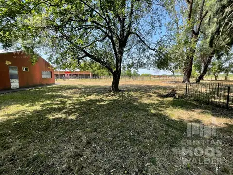 Quinta en Venta 50 años