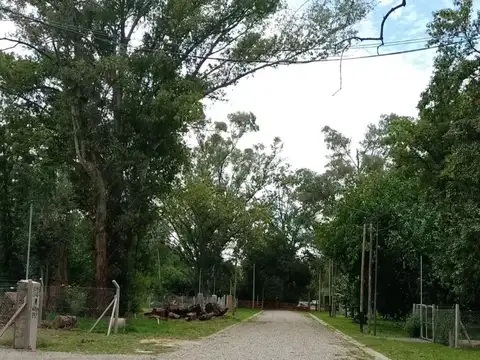 Juan Pablo Echague 2000