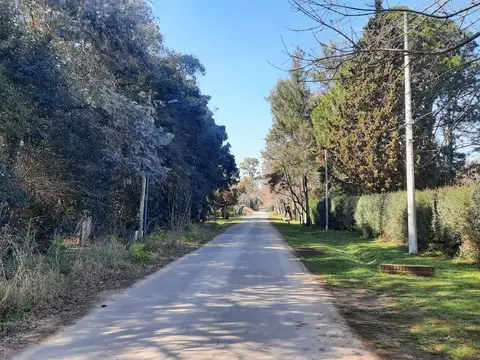 LOTE APTO DESARROLLO INMOBILIARIO