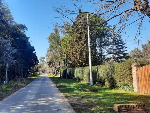 Terreno en Venta 50  mts Frente