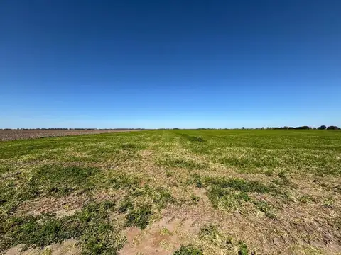 Campo a metros de la autopista Rosario-Buenos Aires