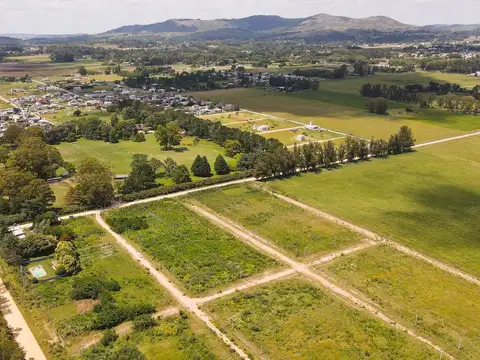 Terreno en Venta de 290,0 m2