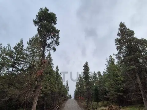 Paraje Mallin Ahogado , Piso 0