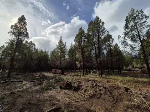Lotes en venta  El Bolsón