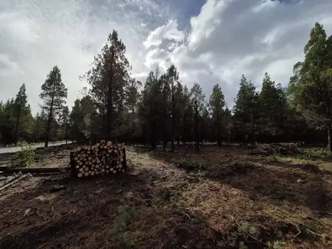 Paraje Mallin Ahogado , Piso 0