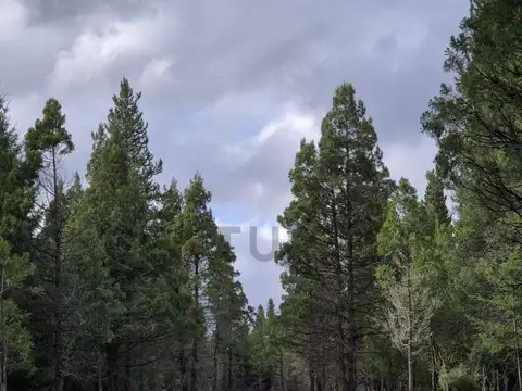 Terreno en Venta de 2500,0 m2