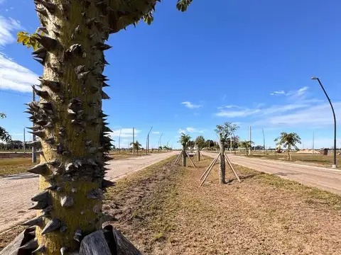 Terreno en Venta de 360,0 m2