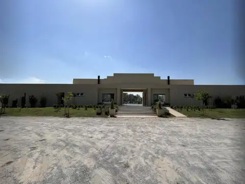 JUAN PABLO II al 1600