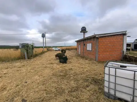 Balneario Los Angeles 100