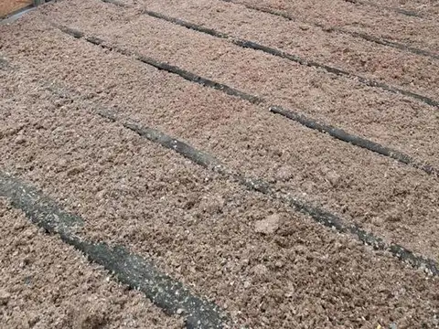 Casa 2 ambientes con 1 baño