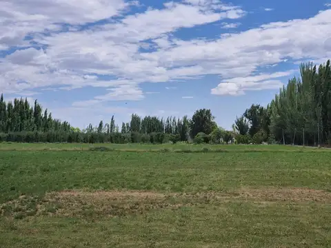 Calle 13, Lote 11 s/n, Campo Grande