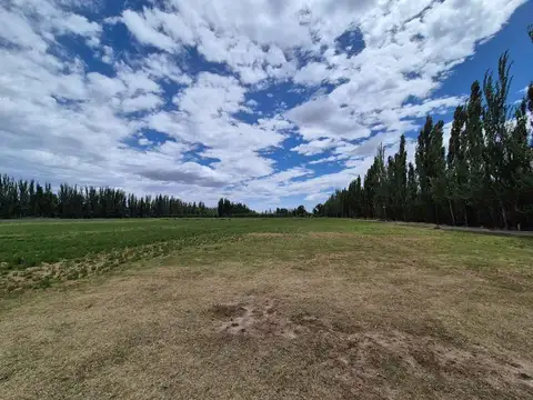 VENTA CHACRA 5 HECTAREAS CON ALFALFA