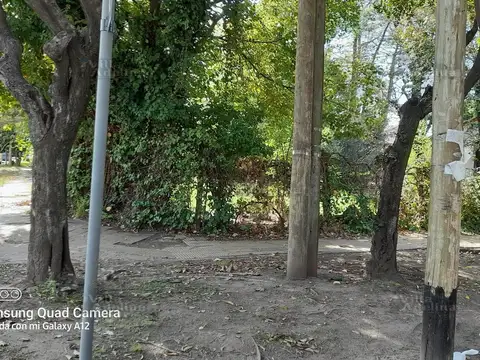 Terreno Lote  en Venta en Carapachay, Vicente López, G.B.A. Zona Norte