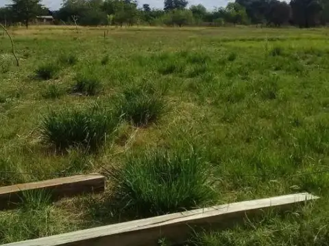 Terreno en Venta en Abasto, USD 135.000