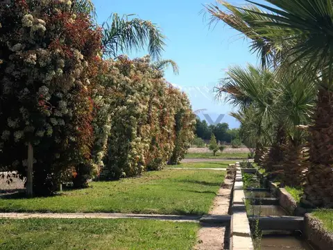 VENTA DE LOTE B° MISTERBIANCO - MAIPU