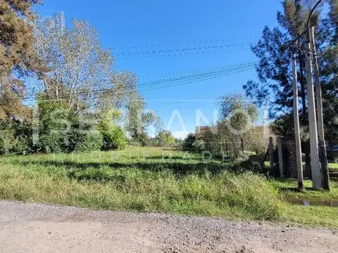 Terreno en Venta 20  mts Frente