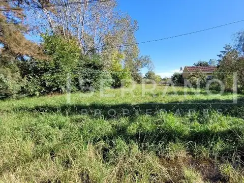 Terreno en Venta 62  mts Fondo