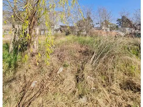 Almafuerte, Entre Jose Ingenieros Y Rafael Obligado.