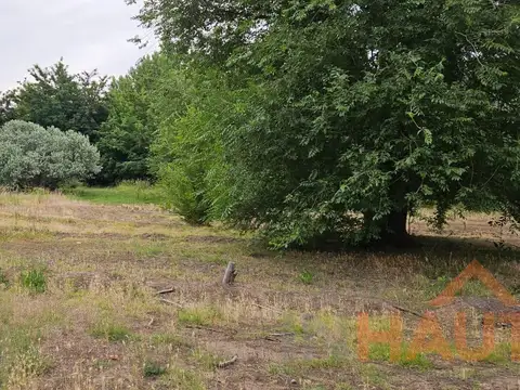 Chacra en Cipolletti