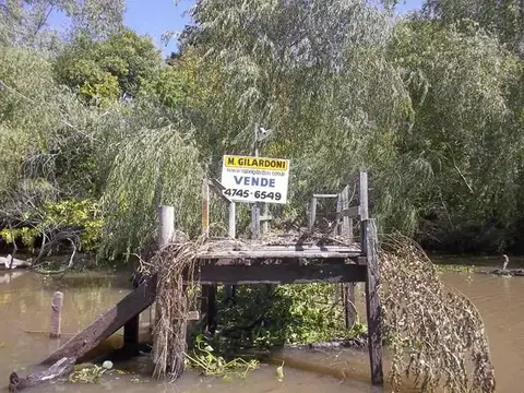 Rio / Arroyo Carapachay Lindero a Panambí 100