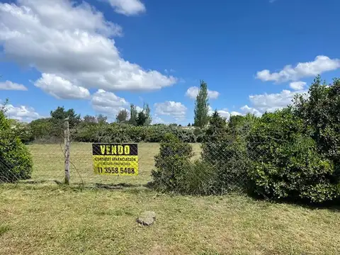 Doctor Ricardo Levene e/ 250 y 246