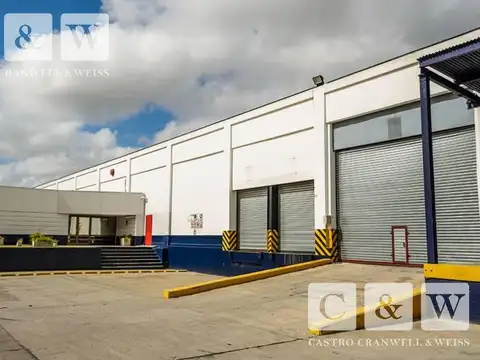 Manuel A Ocampo  al 1100