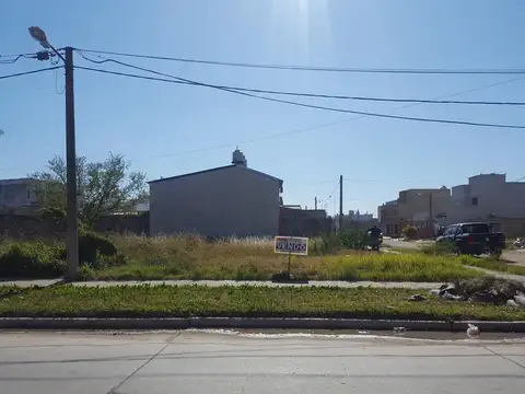 Inmaculada Concepción 250