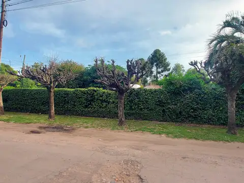 Quinta en venta en La Reja