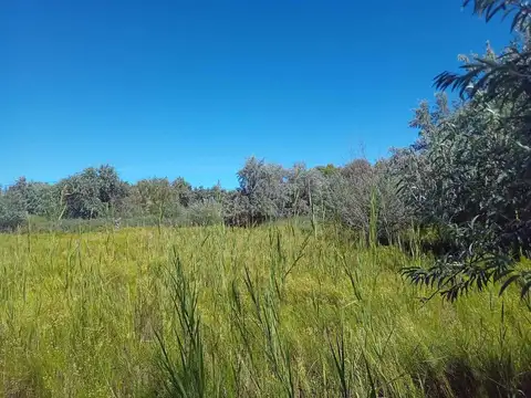 ALQUILER DE CHACRA PARA PRODUCCION O INDUSTRIAL