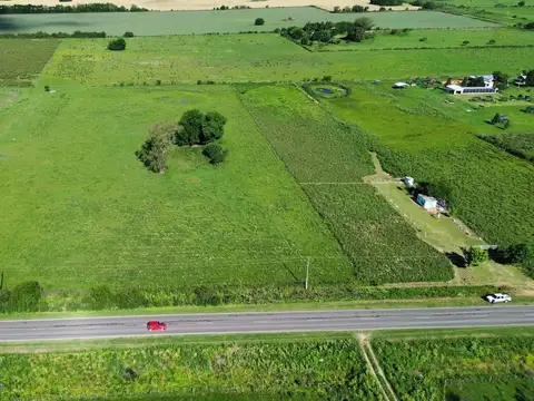 Vendo Campo de 3 Hectáreas en San Justo, Entre Ríos.