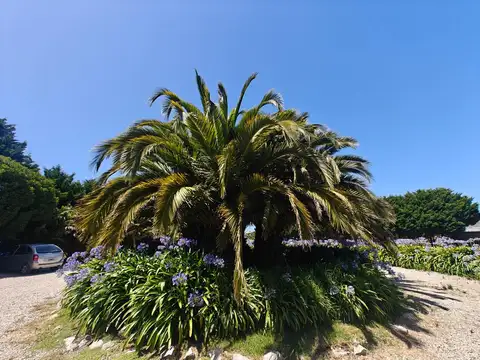 Fondo Comercio en Venta 30 años