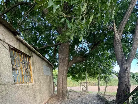 Los Malvones esquina Furriol 100