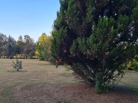 CASA 1 HAS. DE PARQUE - 4 DORM. 3 BAÑOS - PILETA - FORESTACIÓN - CLORINDO TESTA - LOBOS