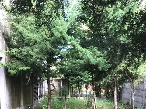 168 BIS E/ 519 Y 520