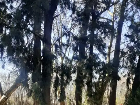 Terreno en Venta en Dique Lujan, USD 110.000