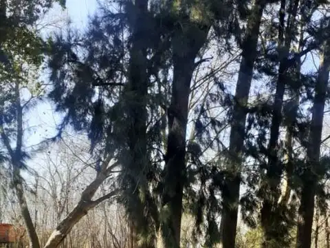 Terreno en Venta de 2600,0 m2