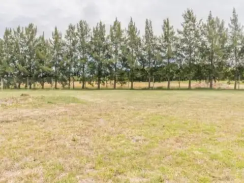 Terreno en venta - 1184.65 Mts2 - Las Calandrias, Exaltación De La Cruz