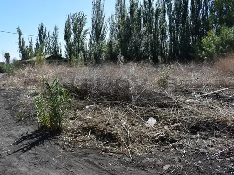 Terreno en Venta en Kilometro 8, USD 13.000