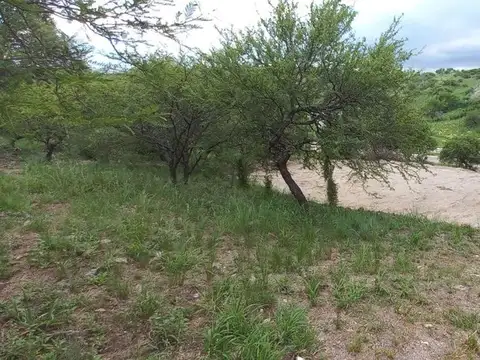 Terreno en Venta de 810,0 m2