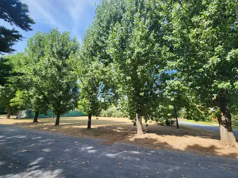 Sol Paraná Pueblo Esther