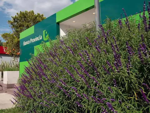 Galpon en Alquiler Temporal A Estrenar