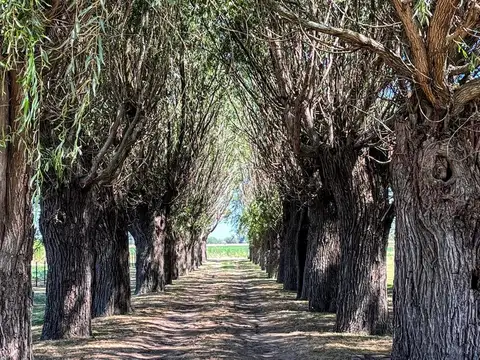 Hipólito Yrigoyen Cuartel 1