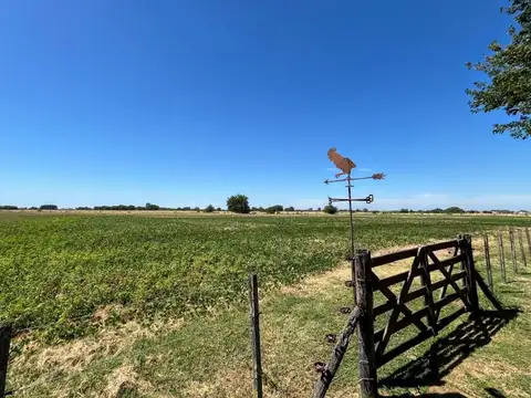 Excelente chacra de 10,6 has. en venta en Saladillo muy cerca de la ruta 205 y de la ciudad 