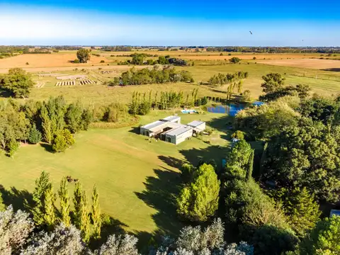 4,6 Has. Chacra en Villa Ruiz